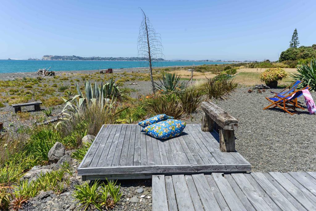 Absolute Beachfront B&B Napier Exterior photo